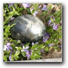 [Zum Vergr��ern bitte anklicken]