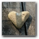 [Zum Vergr��ern bitte anklicken]