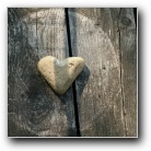 [Zum Vergr��ern bitte anklicken]